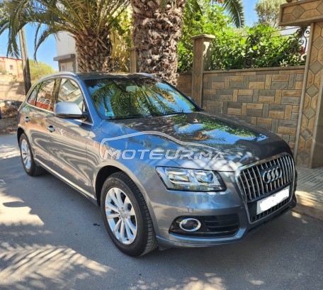 AUDI Q5 Tdi occasion 1688813