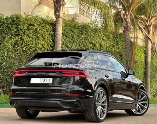 AUDI Q8 occasion 1919338