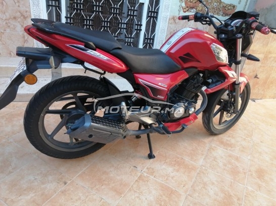 BENELLI 125 sport occasion  1041603