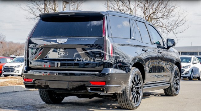 CADILLAC Escalade Platinium occasion 1138542