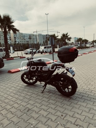 Moto au Maroc CIMATTI Monstre Cimatti monster 2022 - 453813