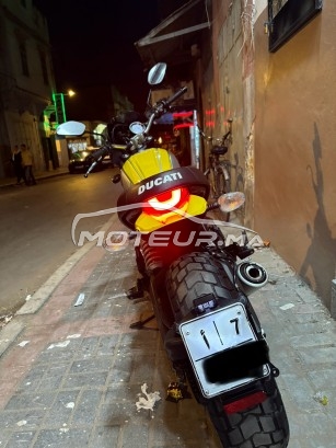 دوكاتي سكرامبلير 800 Ducati scrambler 800 icon مستعملة 1890581