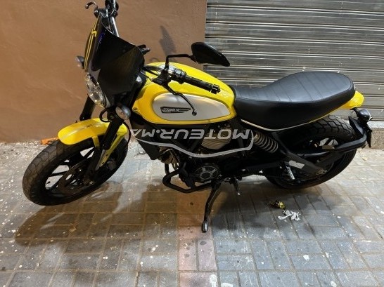 دوكاتي سكرامبلير 800 Ducati scrambler 800 icon مستعملة 1890583