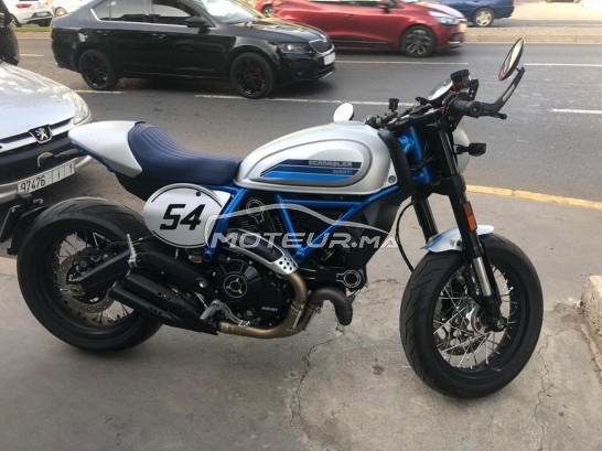 دوكاتي سكرامبلير 800 Cafe racer مستعملة 1142117