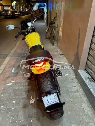 دوكاتي سكرامبلير 800 Ducati scrambler 800 icon مستعملة 1890580