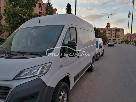 FIAT Ducato occasion 1175980