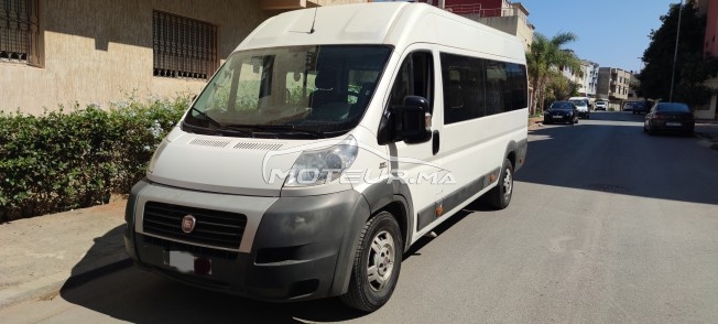 FIAT Ducato occasion 1249419