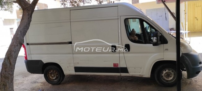 FIAT Ducato occasion 1592932