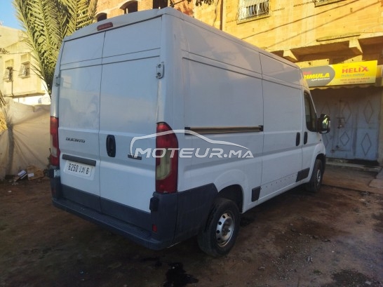 FIAT Ducato occasion 1597934