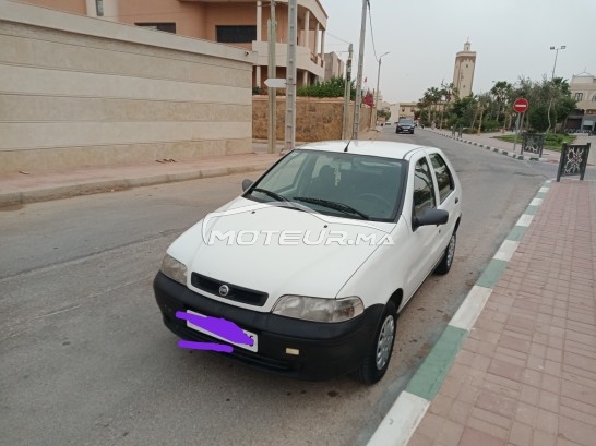 FIAT Palio occasion 1591348