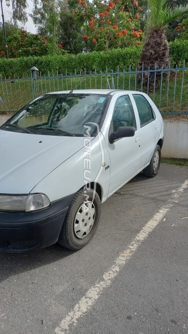 FIAT Palio occasion 1573730