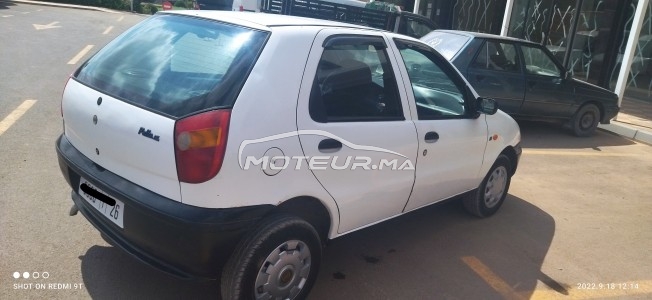 FIAT Palio occasion 1504247