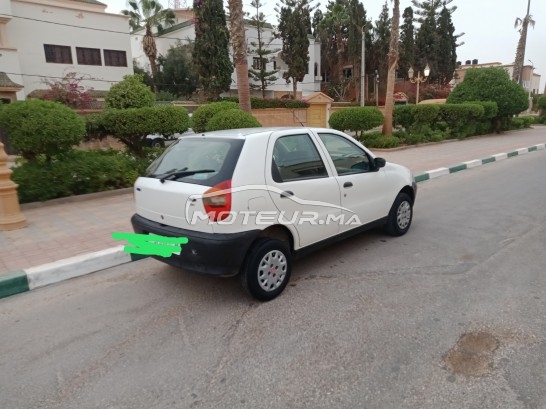 FIAT Palio occasion 1591346