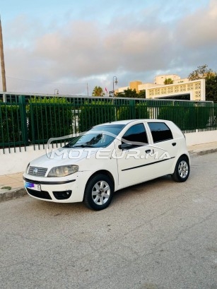 FIAT Punto Classique مستعملة