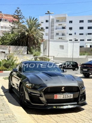 FORD Mustang Shelby occasion 1890443