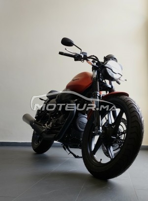 GUZZI V7 V7 stone occasion  1884392