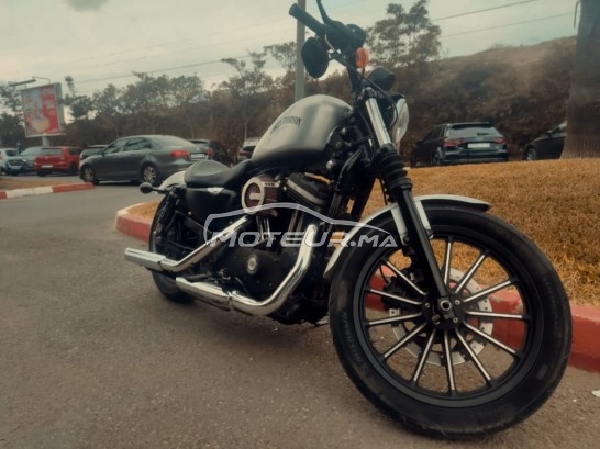 HARLEY-DAVIDSON Iron 833 2015 occasion  1706136