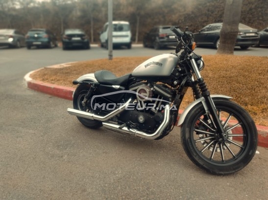 HARLEY-DAVIDSON Iron 833 2015 occasion  1706215