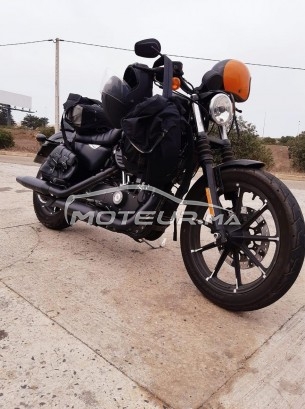 HARLEY-DAVIDSON Iron 833 Sporster occasion 