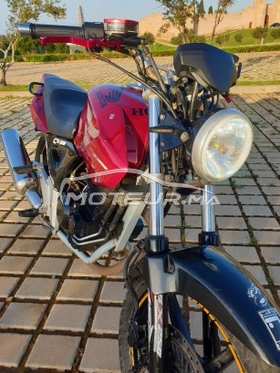 HONDA Cbx 250 twister occasion  1386296