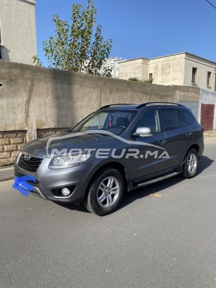 HYUNDAI Santa fe 2.2l occasion 1558304