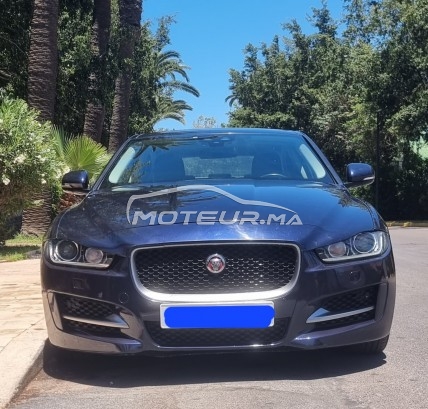 JAGUAR Xe R sport occasion 1867774