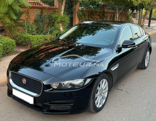 JAGUAR Xe occasion 1909551