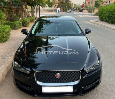 JAGUAR Xe occasion