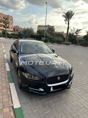 JAGUAR Xe R sport occasion 1710530