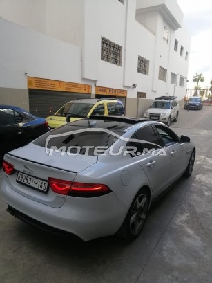 JAGUAR Xe occasion 1300796