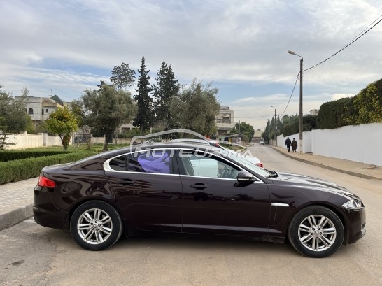 Jaguar Xf occasion Diesel Modèle 2014