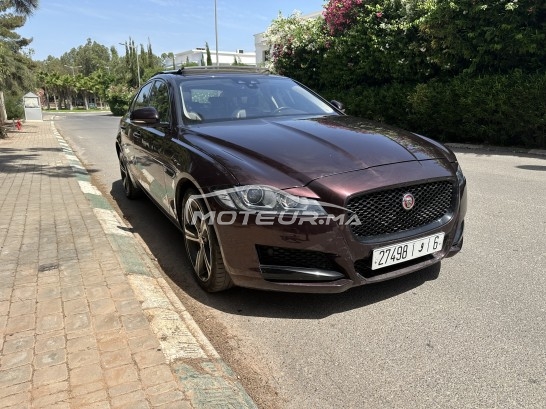 JAGUAR Xf occasion 1884550