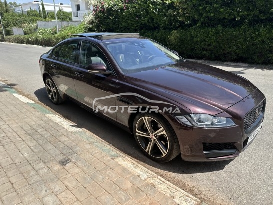 JAGUAR Xf occasion 1884543