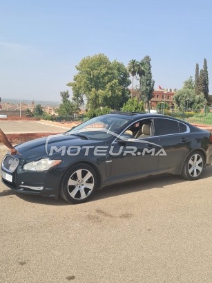 JAGUAR Xf occasion 1361265