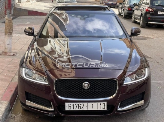 JAGUAR Xf occasion 1902976