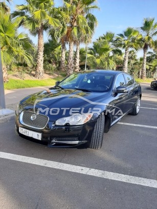 JAGUAR Xf V6 occasion 988854