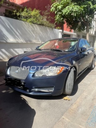 JAGUAR Xf occasion 1482860