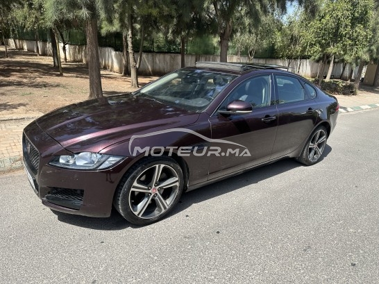 JAGUAR Xf Xf ii - ph1 - 2.0 i4d black edition bva 180ch occasion