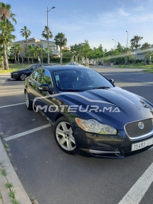 JAGUAR Xf V6 occasion 988861