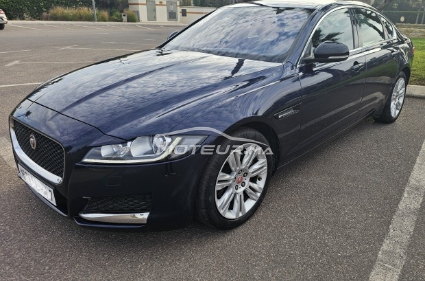 JAGUAR Xf 2.0 occasion