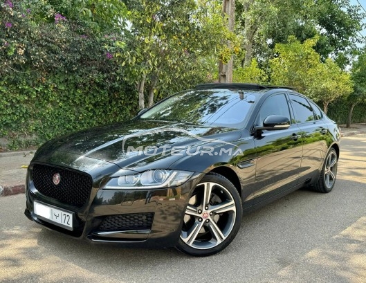 Jaguar Xf occasion Diesel Modèle 2018