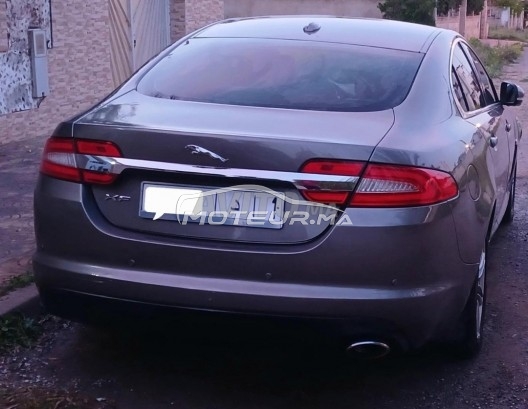 JAGUAR Xf 2.2 diesel 9 chevaux occasion 1880837