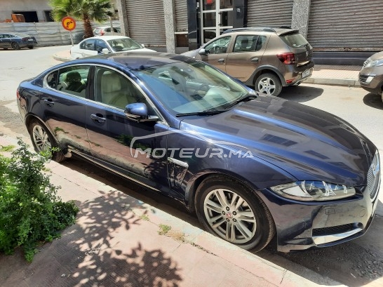 JAGUAR Xf Exécutive occasion 1415778