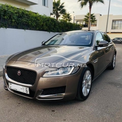 JAGUAR Xf occasion 1921855