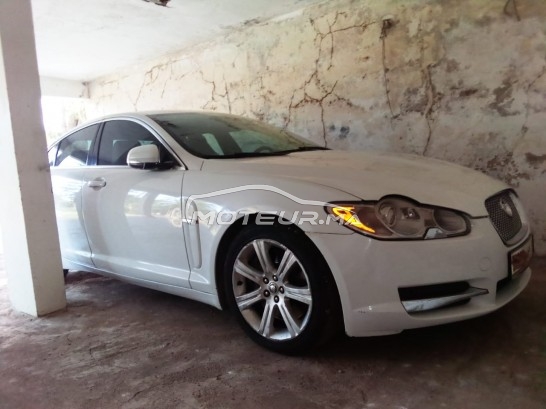 JAGUAR Xf 3.0 v6 occasion 1262747