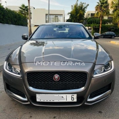 Acheter voiture occasion JAGUAR Xf au Maroc - 447457