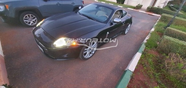 JAGUAR Xk occasion 1359709