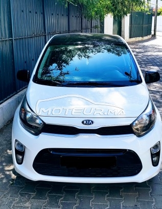 KIA Picanto Life style occasion 1698449