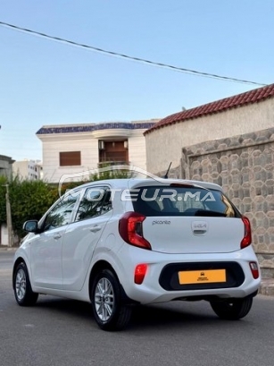 KIA Picanto occasion 1913335