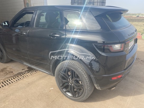 LAND-ROVER Range rover evoque occasion 1339805